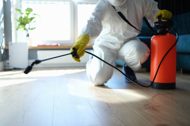 Best Affordable Pest Control Services  in Shawnee, KS