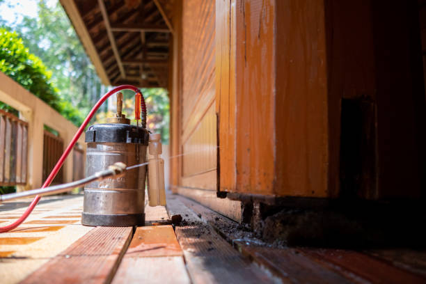 Best Termite Control Services  in Shawnee, KS