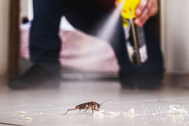 Best Wasp Removal Services  in Shawnee, KS