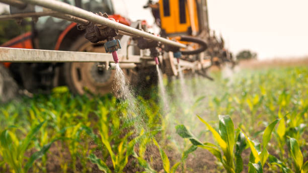 Best Pest Removal Services  in Shawnee, KS